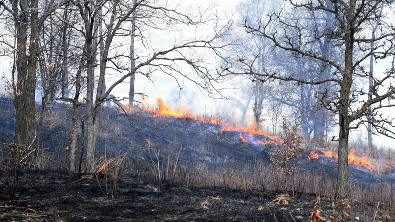 Camp Ripley Crews Fight and Contain 2,000-Acre Wildfire