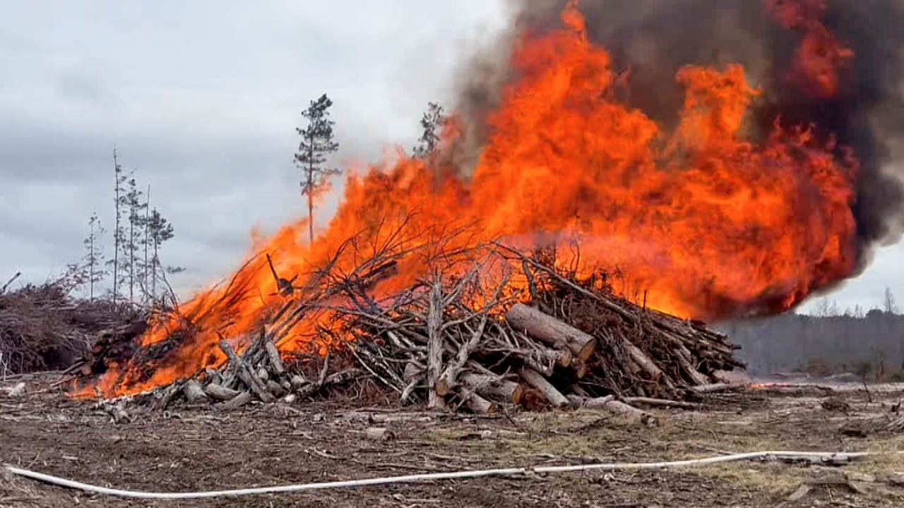 Conservation Corps Continuing Fire Mitigation in Bemidji After 2025 Wind Storm Conservation Corps Continuing Fire Mitigation in Bemidji After 2025 Wind Storm