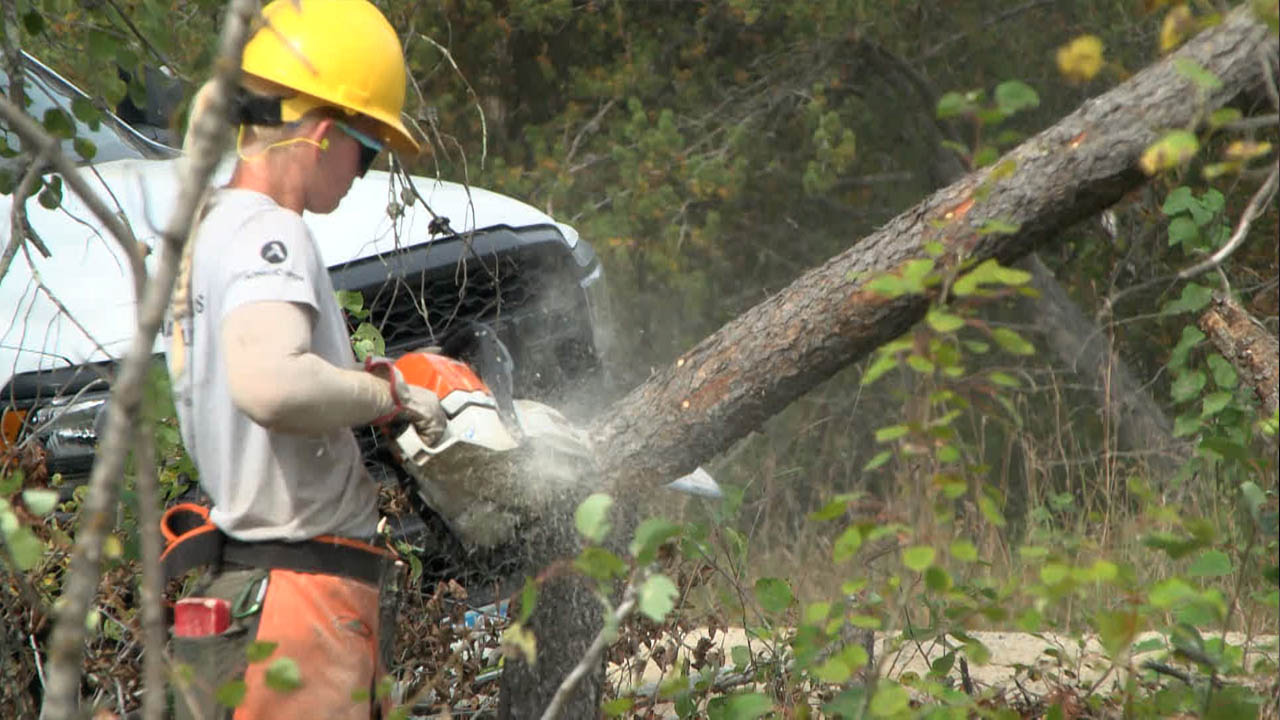 Conservation Corps Visits Bemidji for More June 21 Storm Cleanup