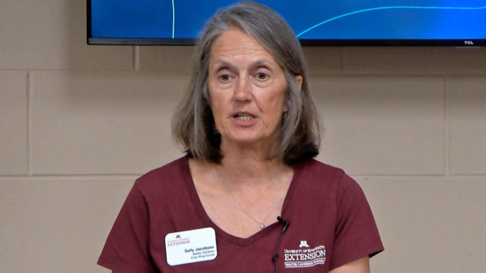 crosslake area garden club master gardener 2