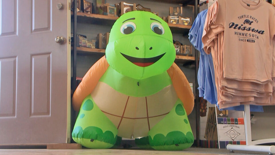 duck duck turtle toy store inflatable