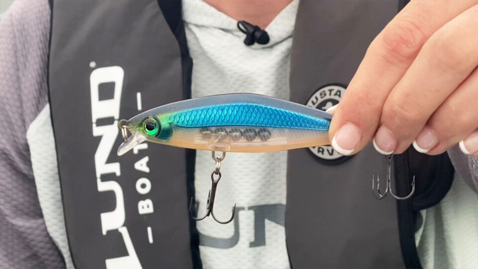 fishing tips 2025 crank baits