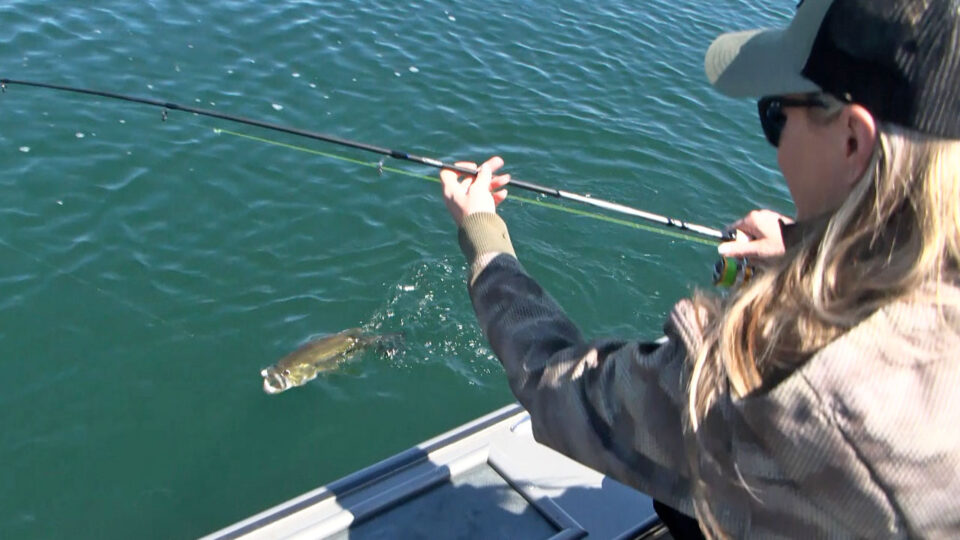 fishing tips 2026 catch & release thumbnail