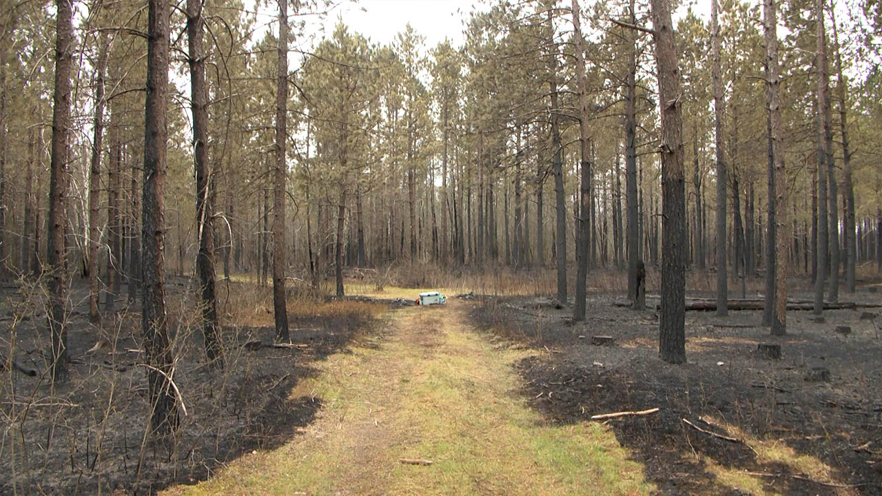 Containment Efforts Continue for Flanders Fire Near Crosslake