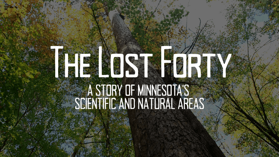 The Lost Forty
