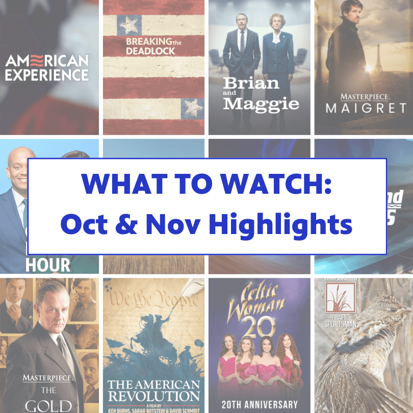 Oct & Nov Highlights