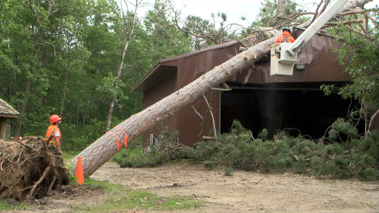 Lake Bemidji State Park Working to Reopen After Destructive Storm