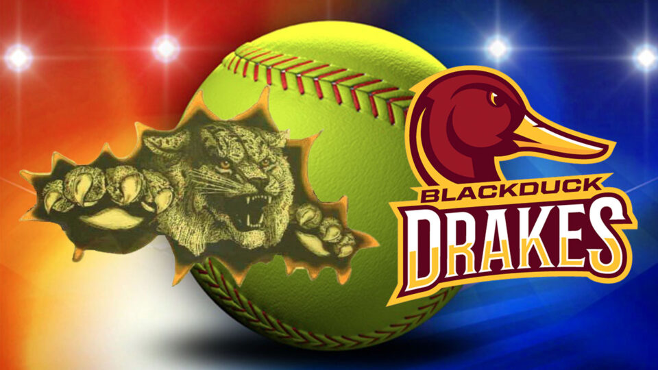 laporte blackduck softball thumbnail