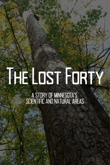 The Lost Forty