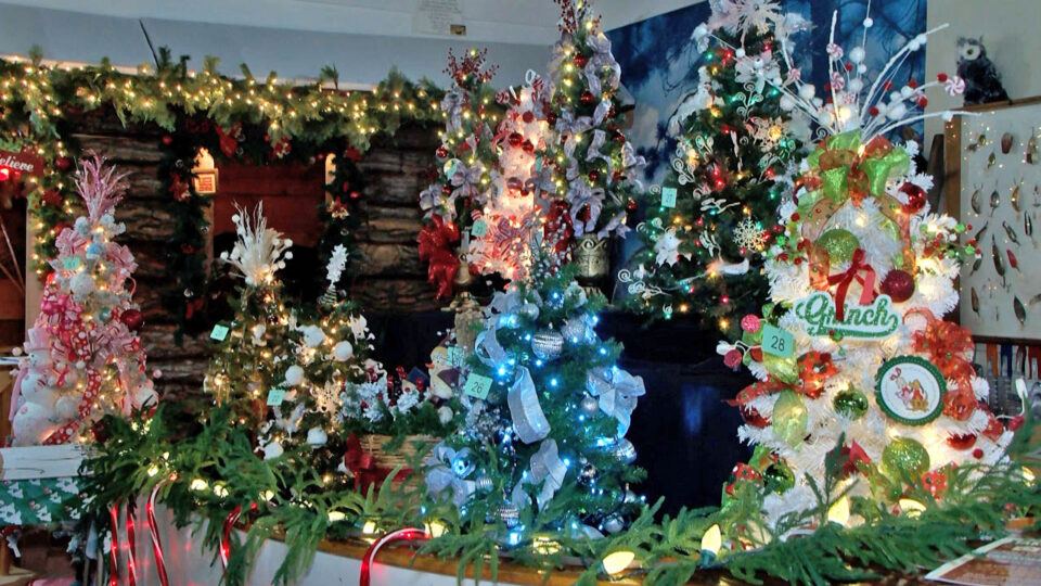 minnesota fishing museum and hall of fame christmas 2