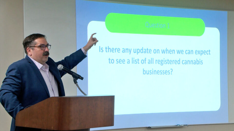 minnesota mn office of cannabis management listening tour
