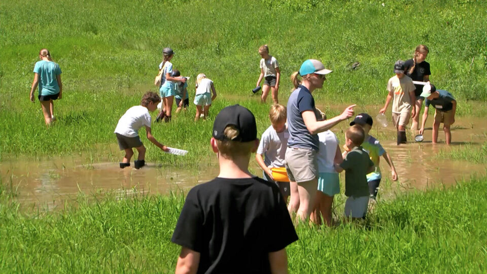 mount ski gull nature camps