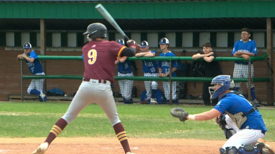 nk bduck baseball