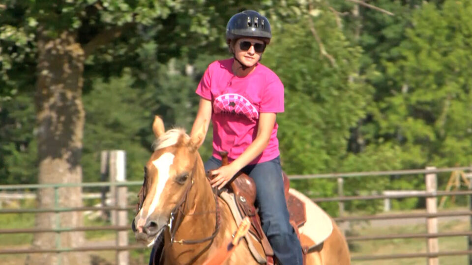 reining chaos 4 h drill team horse 2026 sqk