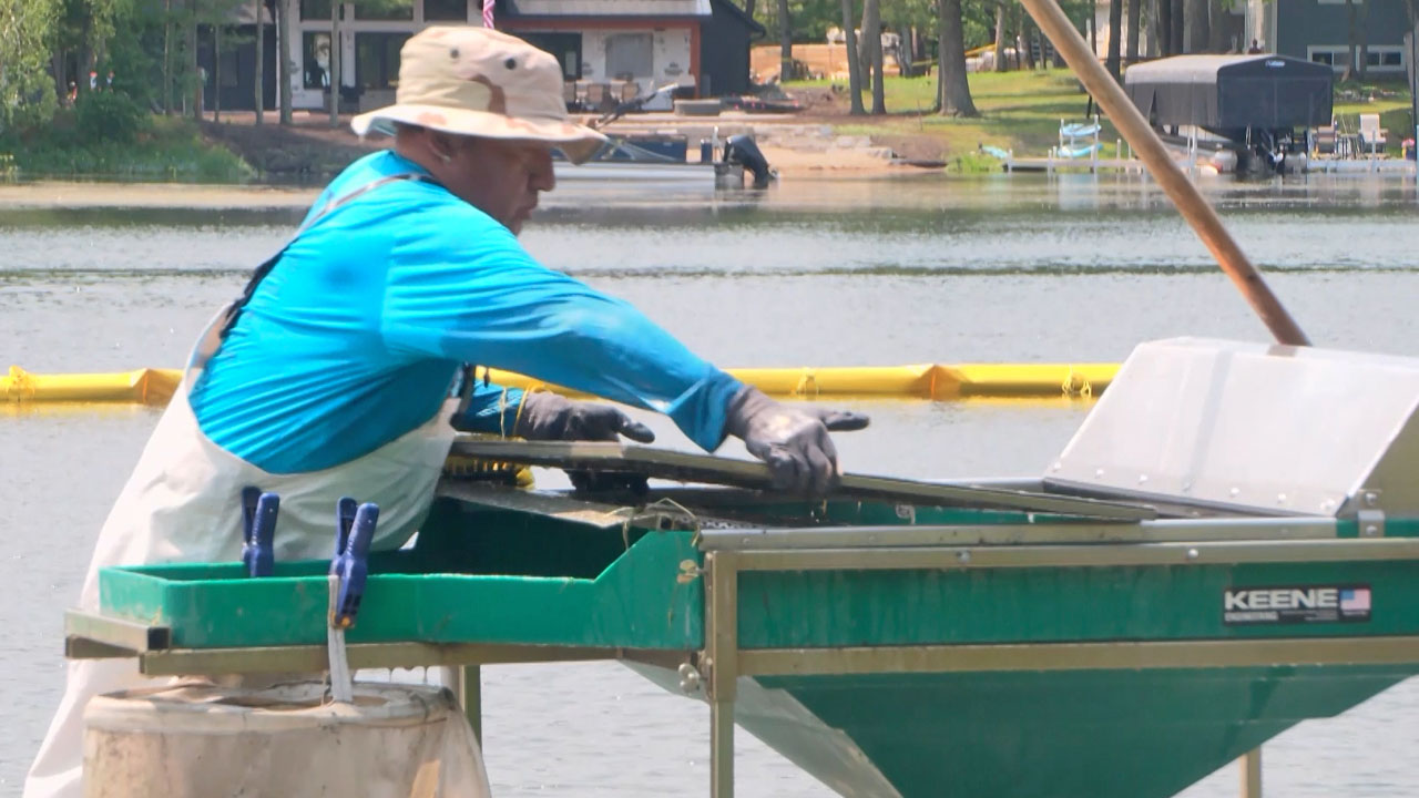 New Technique for Removing Starry Stonewort Attempted on Whitefish Chain of Lakes